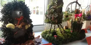 ЧУДЕСА ИЗ ОСЕННЕГО ЛЕСА
