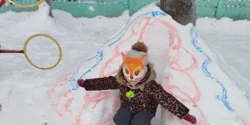 СНЕЖНЫЕ ДОМИКИ